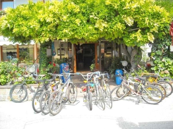Hotel Faedo Pineta ห้อง รูปภาพ