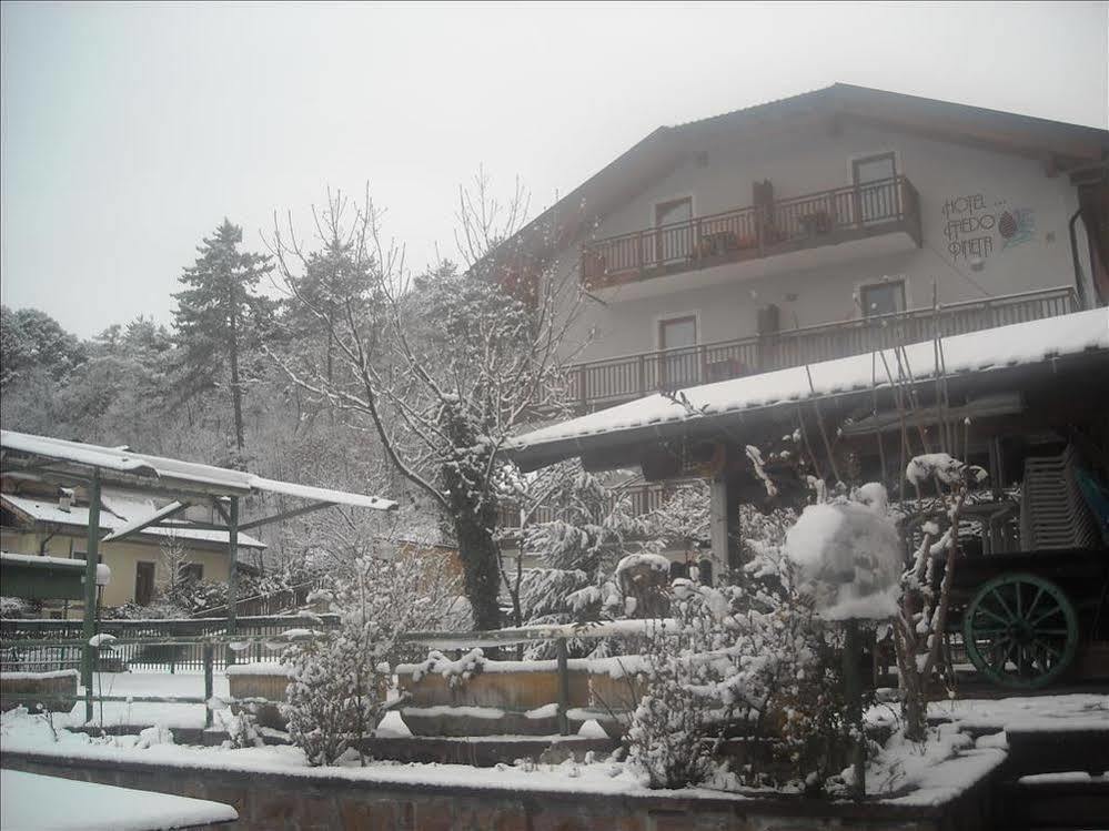 Hotel Faedo Pineta ภายนอก รูปภาพ